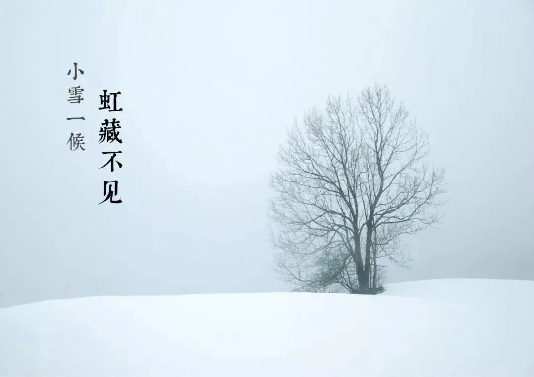 小雪到 冬始俏，从山为你打造冬日里的温馨家居生活！(图2)