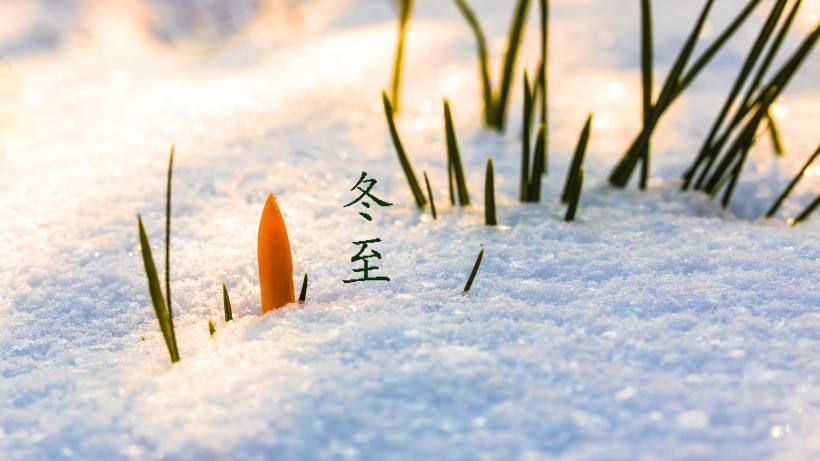 @所有人，从山塑料模具祝福大家冬至大吉