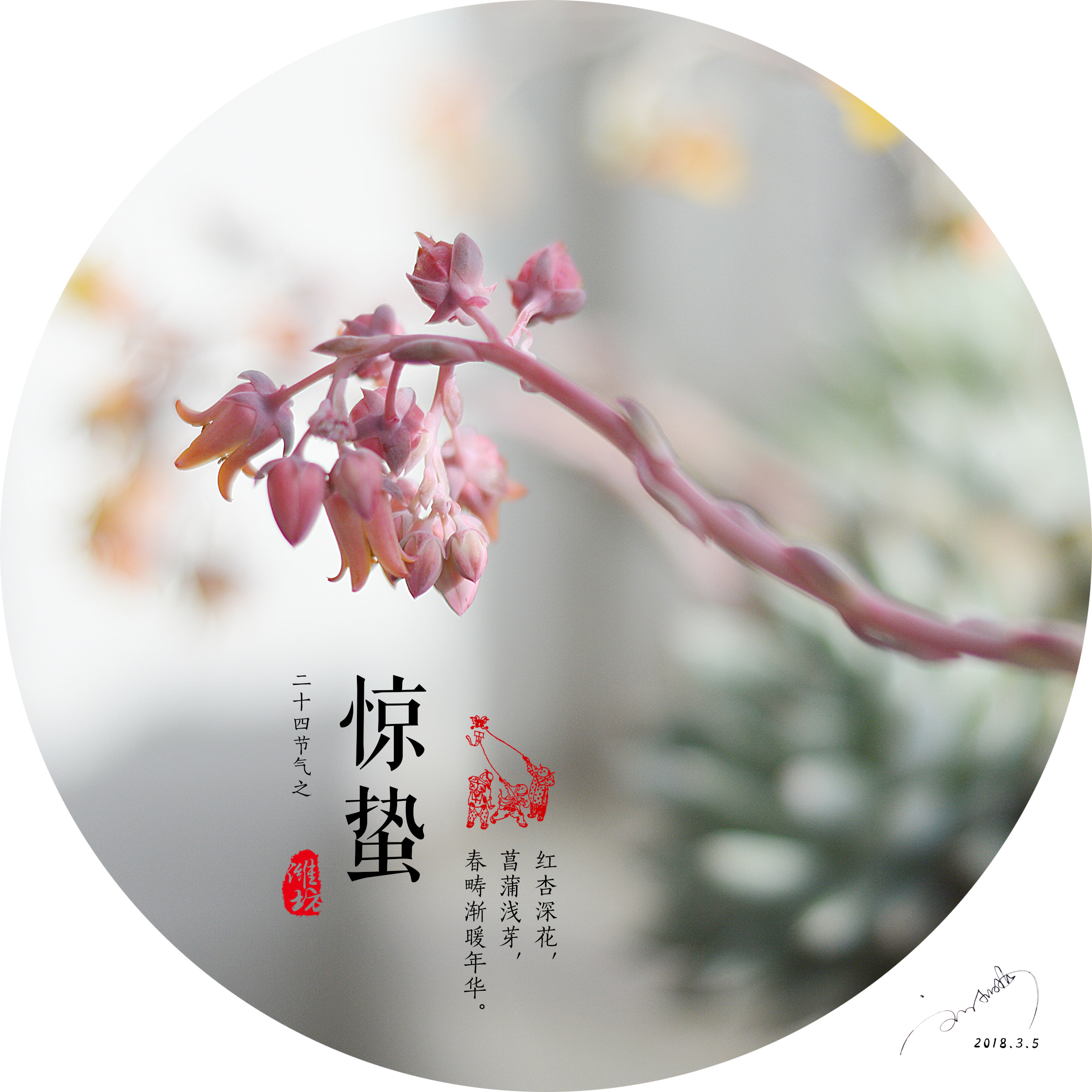 惊蛰，从山约您一起赴春光之旅~(图2)