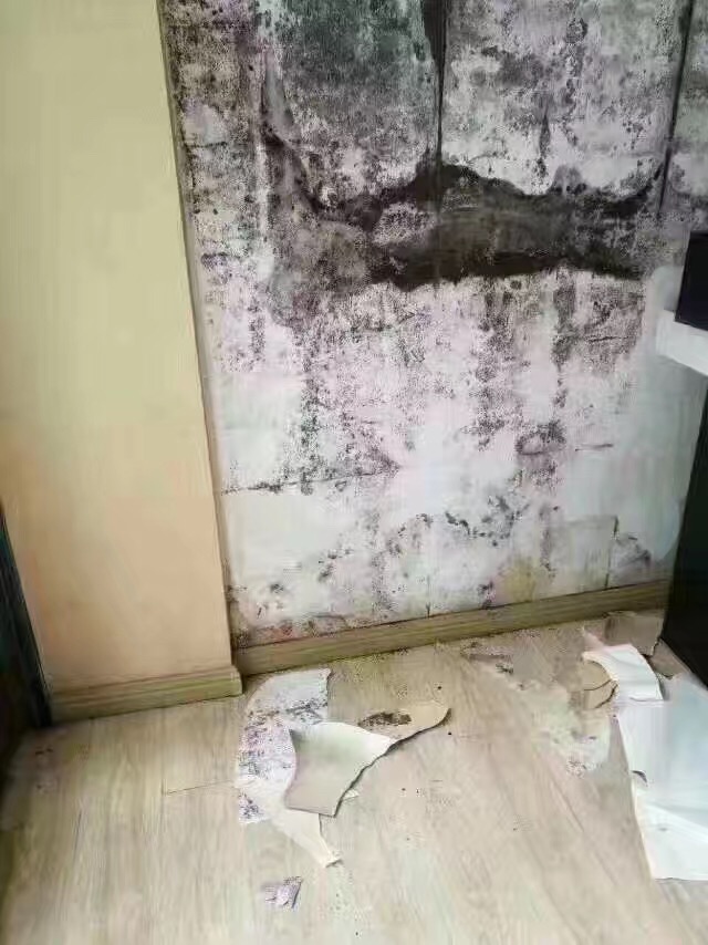 谷雨时期，降雨增多，从山让你告别墙面发霉脱落(图6)