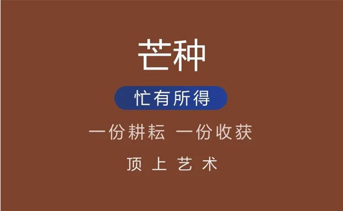 从山|芒种——种下梦想 收获希望(图2)