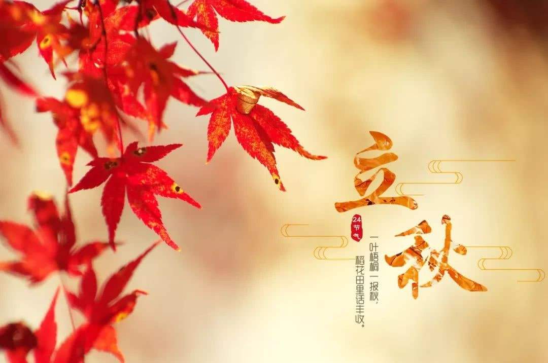 从山的暖黄“秋色”，给你不一样的家居装饰体验！